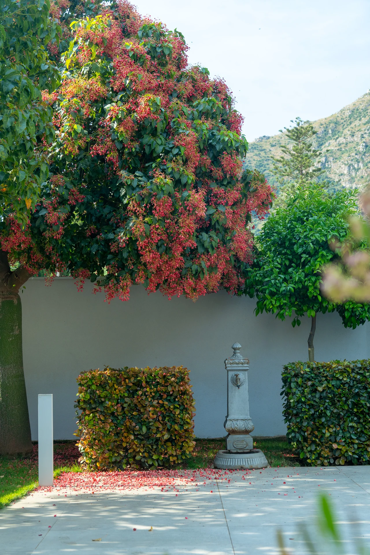 Il giardino — Villa Bizzarria