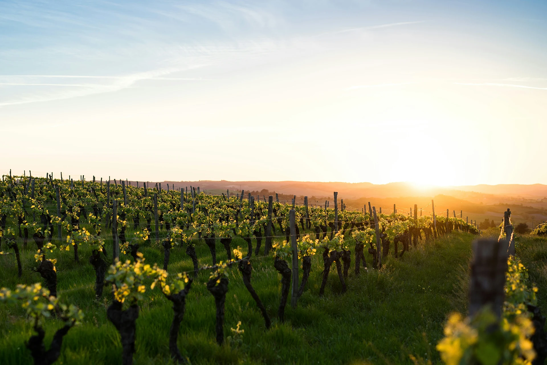 Wine experience — Villa Bizzarria